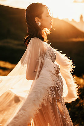 Maternity dress The Wedding Gown