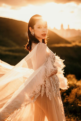 Maternity dress The Wedding Gown
